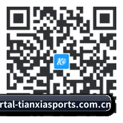 系统版 Android 二维码